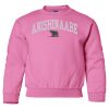 Youth Crewneck Sweatshirt Thumbnail